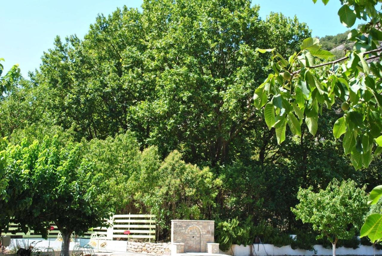 Guesthouse Eleftherios Kalavryta Exteriér fotografie