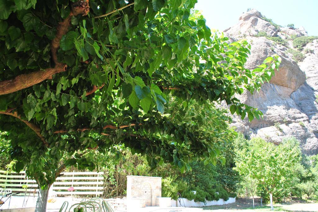 Guesthouse Eleftherios Kalavryta Exteriér fotografie