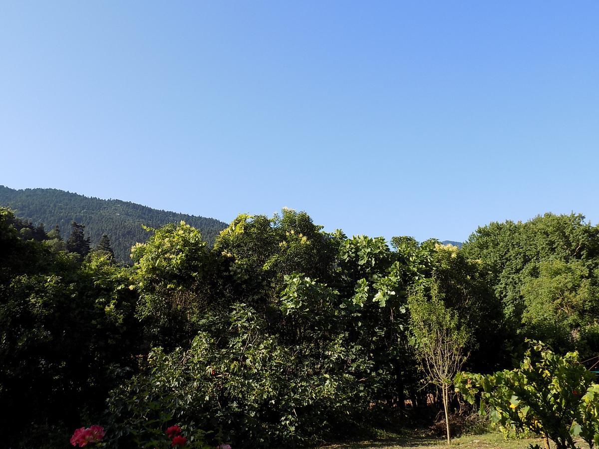 Guesthouse Eleftherios Kalavryta Exteriér fotografie