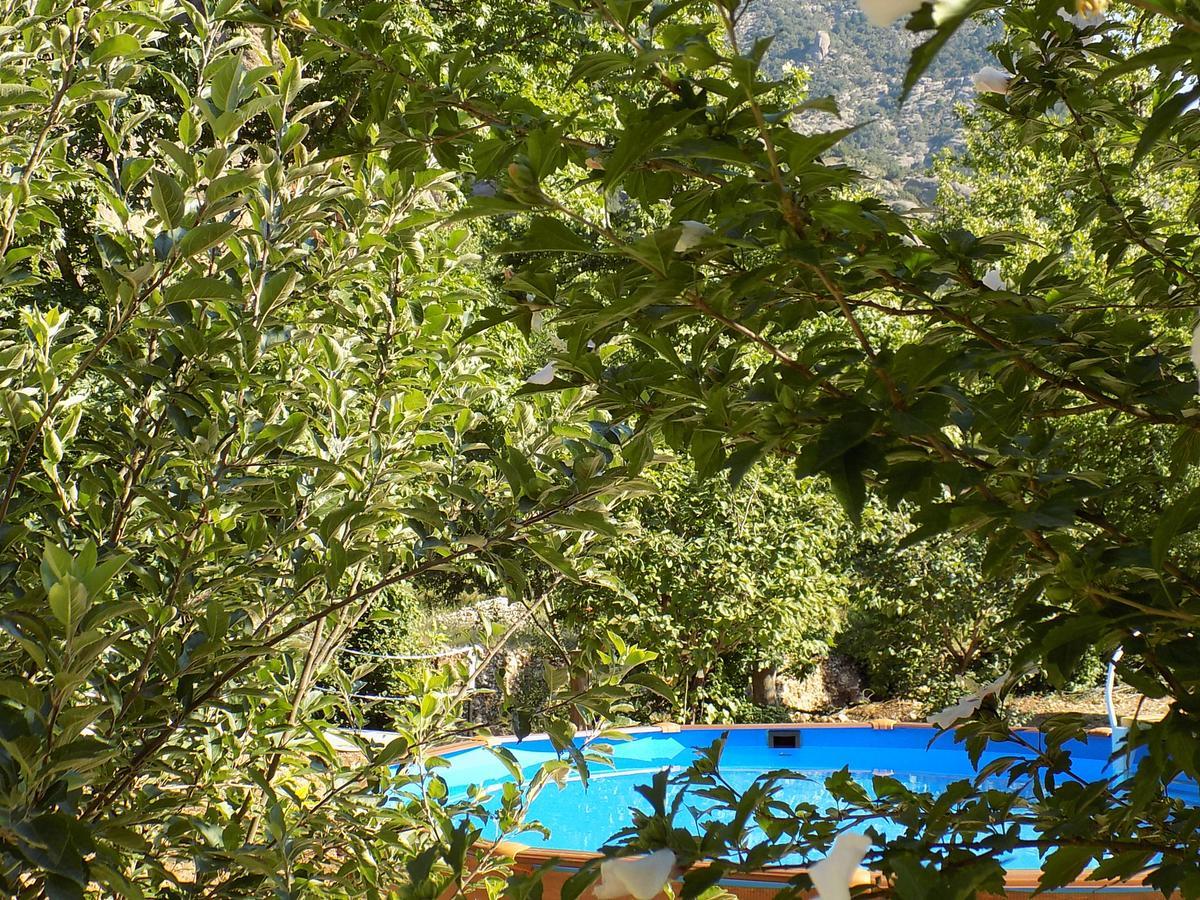 Guesthouse Eleftherios Kalavryta Exteriér fotografie